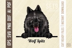 Wolf Spitz - Peeking Dog Colorful, Pet Portrait SVG Product Image 1