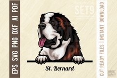 St. Bernard - Peeking Dog Colorful Pet Portrait SVG Product Image 1