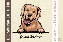 Golden Retriever - Peeking Dog Colorful Pet Portrait SVG Product Image 1