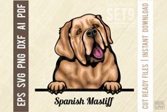 Spanish Mastiff - Peeking Dog Colorful Pet Portrait SVG Product Image 1