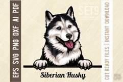 Siberian Husky - Peeking Dog Colorful Pet Portrait SVG Product Image 1