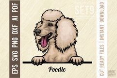 Poodle - Peeking Dog Colorful, Pet Portrait SVG Product Image 1