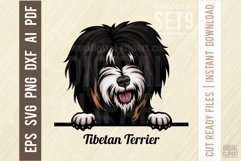 Tibetan Terrier - Peeking Dog Colorful Pet Portrait SVG Product Image 1