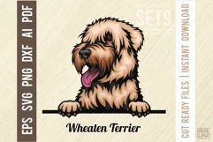 Wheaten Terrier - Peeking Dog Colorful Pet Portrait SVG Product Image 1