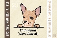 Chuhuahua - Peeking Dog Colorful, Pet Portrait SVG Product Image 1