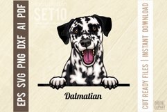 Dalmatian - Peeking Dog Colorful, Pet Portrait SVG Product Image 1
