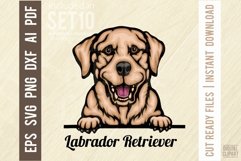 Labrador Retriever - Peeking Dog Colorful, Pet Portrait SVG Product Image 1