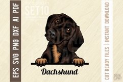 Dachshund - Peeking Dog Colorful, Pet Portrait SVG Product Image 1