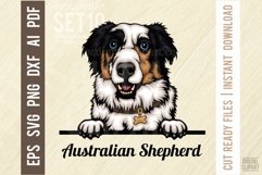Australian Shepherd - Peeking Dog Colorful, Pet Portrait SVG Product Image 1