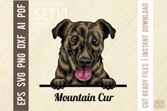 Mountain Cur - Peeking Dog Colorful, Pet Portrait SVG Product Image 1