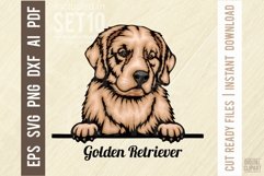 Golden Retriever - Peeking Dog Colorful, Pet Portrait SVG Product Image 1