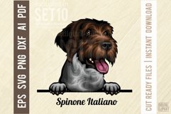 Spinone Italiano - Peeking Dog Colorful, Pet Portrait SVG Product Image 1
