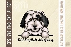 Old English Sheepdog - Peeking Dog Colorful SVG Product Image 1