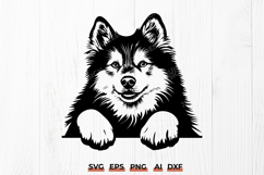 Peeking Finnish Lapphund SVG | Nordic Dog Breed Clipart DXF Product Image 1