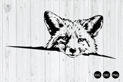 Peeking Fox SVG, Fox SVG, Fox Head SVG, Animal SVG Product Image 1