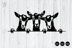 Peeking Funny Goat SVG, Goat SVG, Animal SVG Product Image 1