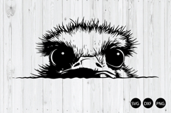Peeking Funny Ostrich SVG, Ostrich SVG, Animal SVG Product Image 1