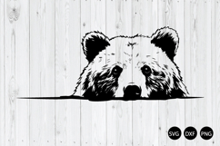 Peeking grizzly bear SVG, Bear SVG, Animal SVG Product Image 1