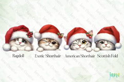 Peeking Holiday Cat Clipart Product Image 1