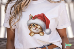 Peeking Holiday Cat Sublimation Bundle Product Image 3