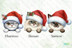 Peeking Holiday Cat Clipart Product Image 1