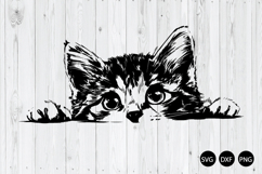 Peeking Kitten SVG, Kitten SVG, Cat Head SVG, Animal SVG Product Image 1