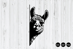 Peeking Llama SVG, Llama SVG, Animal SVG Product Image 1