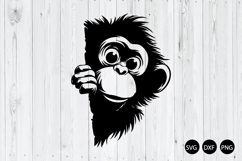 Peeking Monkey SVG, Monkey Head SVG, Animal SVG Product Image 1