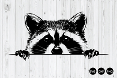 Peeking Raccoon SVG, Raccoon SVG, Raccoon Head SVG Product Image 1