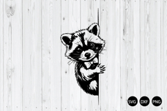 Peeking Raccoon SVG, Funny Animal SVG, Raccoon SVG Product Image 1