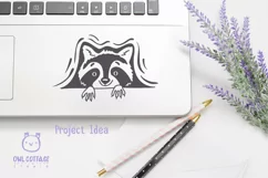 Peeking Racoon SVG for Laptop  Decal 