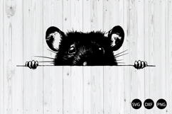 Peeking Rat SVG, Mouse SVG, Peeking Animal SVG Product Image 1