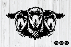 Peeking Sheep SVG, Sheep SVG, Animal SVG Product Image 1