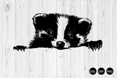 Peeking Skunk SVG, Skunk SVG, Peeking Animal SVG Product Image 1