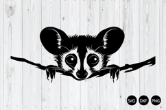 Peeking Sugar Glider SVG, Sugar Glider SVG, Animal SVG Product Image 1