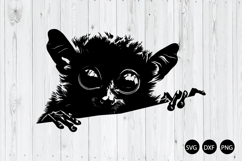 Peeking Tarsier SVG, Peeking Animal SVG Product Image 1