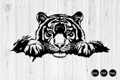 Peeking Tiger SVG, Tiger Face SVG, Tiger SVG, Animal SVG Product Image 1