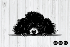 Peeking Toy Poodle SVG, Poodle Mom SVG, Cute Poodle Dog SVG Product Image 1