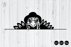 Peeking Turkey SVG, Turkey SVG, Animal SVG Product Image 1