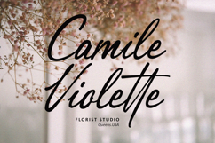 Peftyon Elegant Signature Script Font Product Image 2