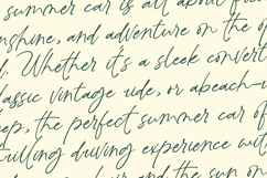 Peglastone - Handwritten Ink Font Product Image 15