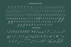 Peglastone - Handwritten Ink Font Product Image 18