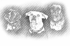 Pencil Sketch Photoshop Action Product Image 6