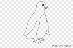 Antarctic polar penguin bird winter shape PNG animal clipart Product Image 1