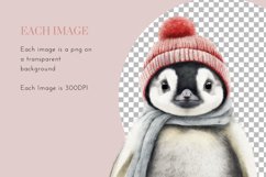 Cute Penguin Clipart | Watercolor Clipart PNG Product Image 3
