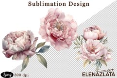 Watercolor Pink Peonies Flowers Clipart Product Image 1