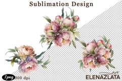 Watercolor Pink Peonies Flowers Clipart Product Image 1