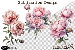 Watercolor Pink Peonies Flowers Clipart Product Image 1