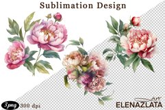 Watercolor Pink Peonies Flowers Clipart Product Image 1