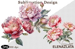 Watercolor Pink Peonies Flowers Clipart Product Image 1